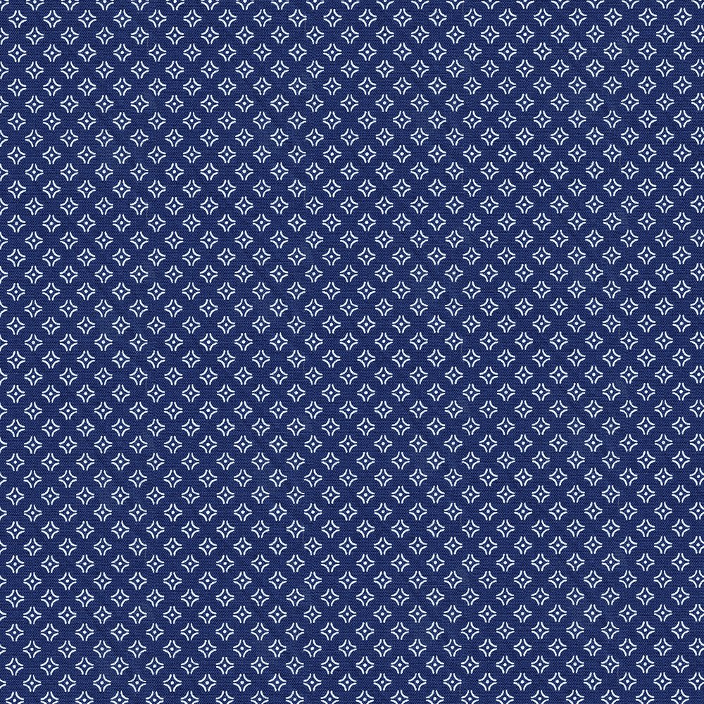 Blue/ White Printed